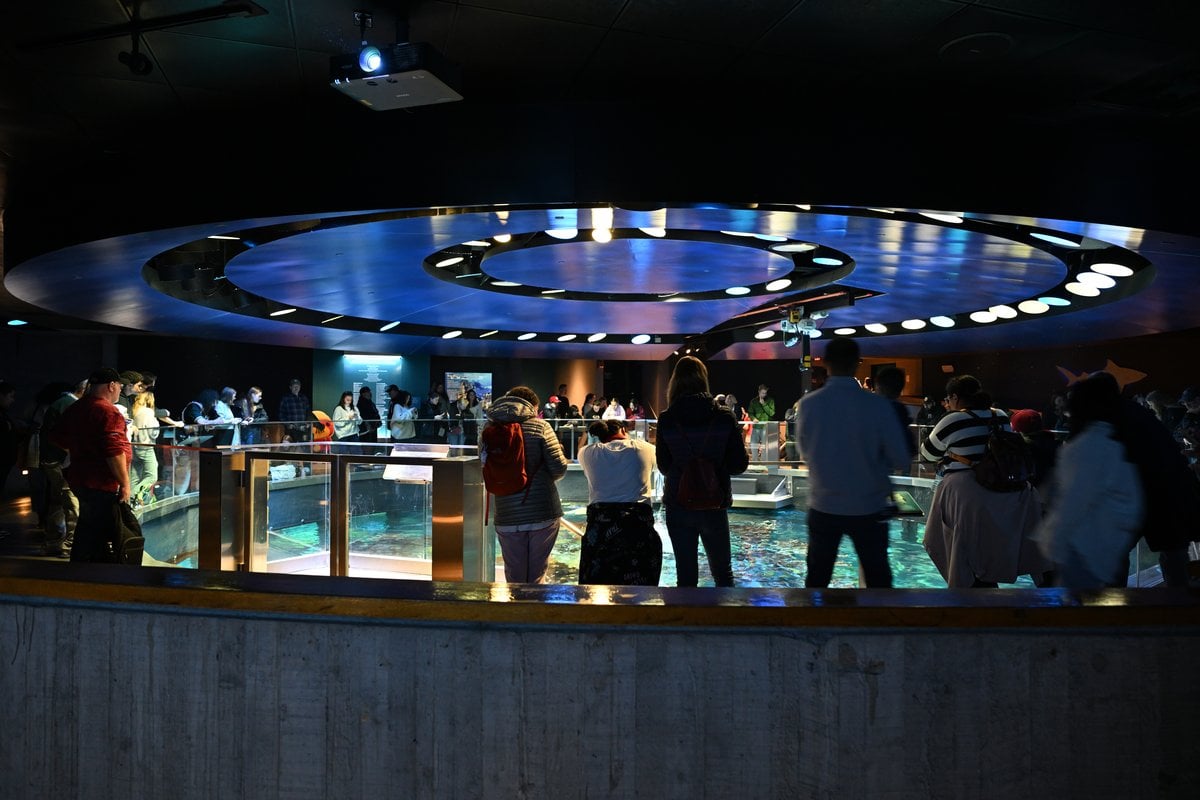 New England Aquarium - Gallery Image 1